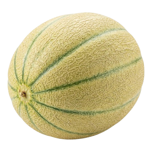 البطيخ الحساوي